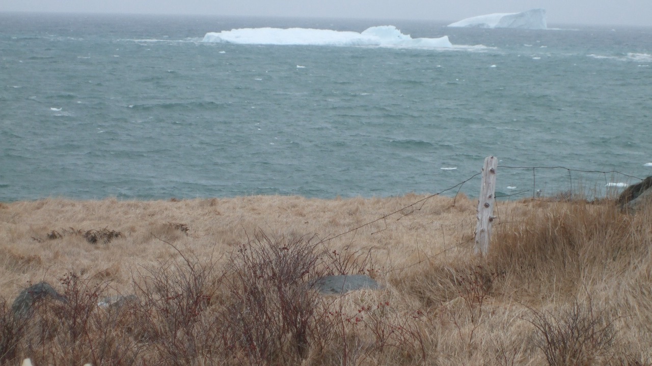 Photo of Others in Western Bay
