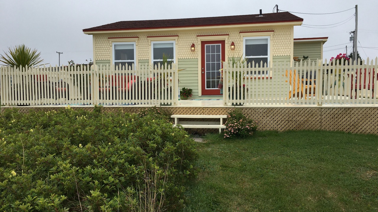 Photo of Outdoor in Western Bay