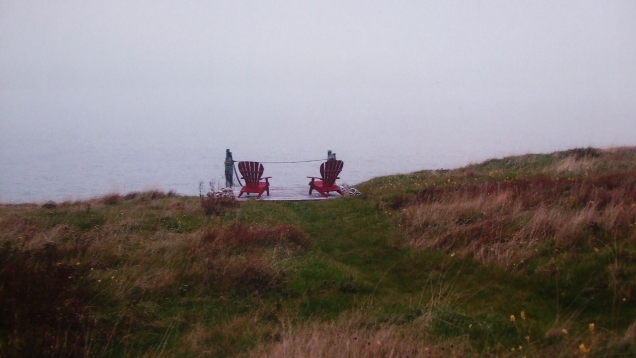 Photo of Others in Western Bay