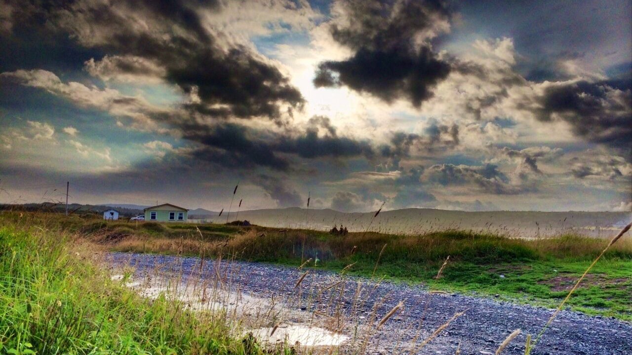 Photo of Outdoor in Western Bay