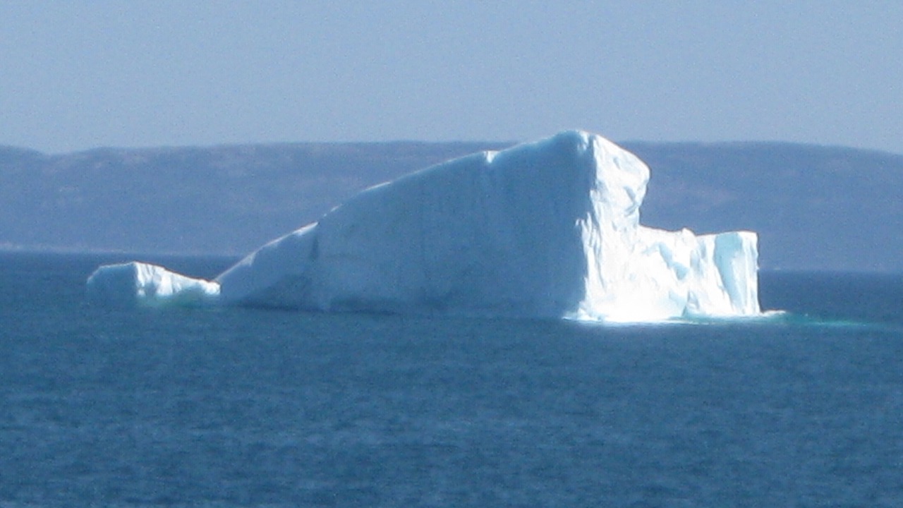 Photo of Others in Western Bay