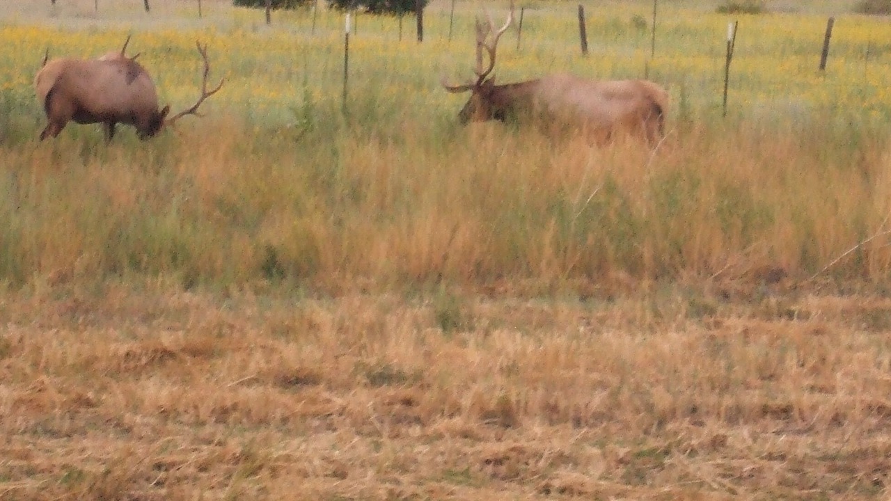 Photo of Outdoor in Baderville