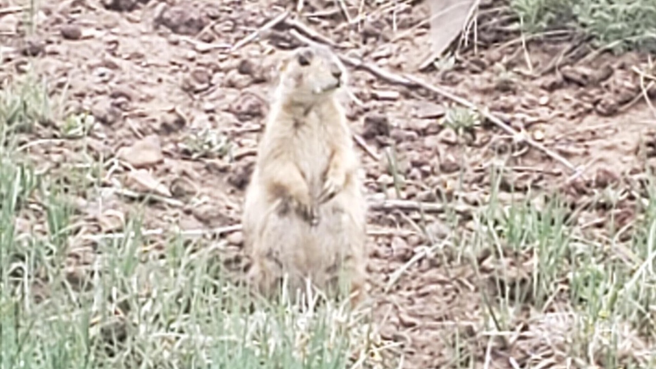 Photo of Outdoor in Baderville
