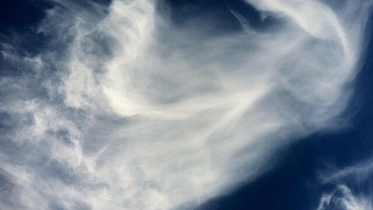 Photo of Others in Surf Pines