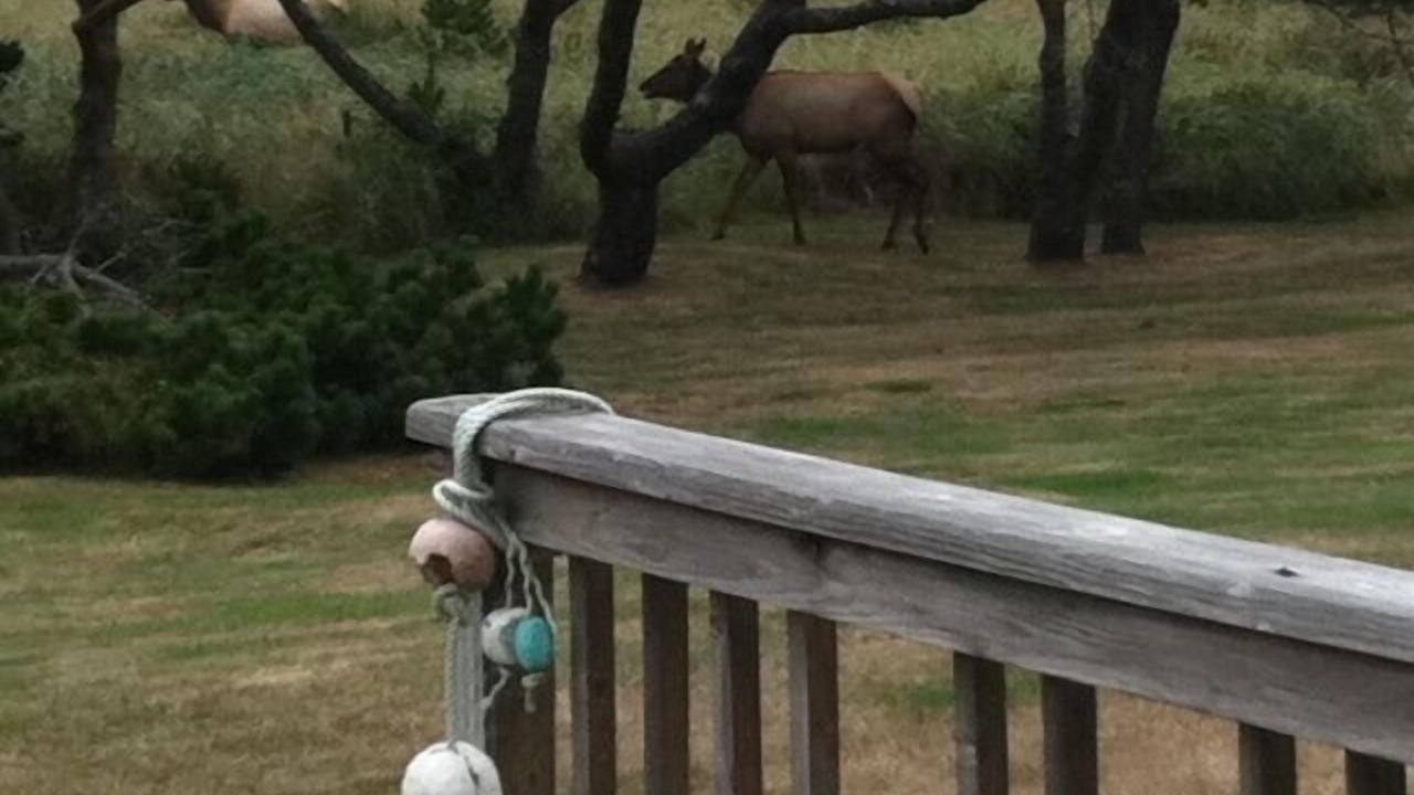 Photo of Outdoor in Surf Pines