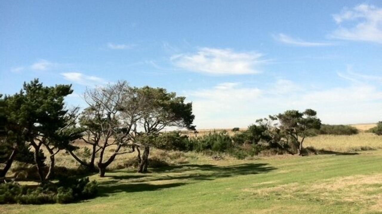 Photo of Outdoor in Surf Pines