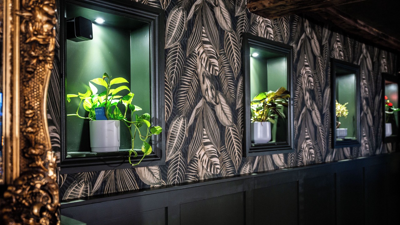 Photo of Others in Henfield