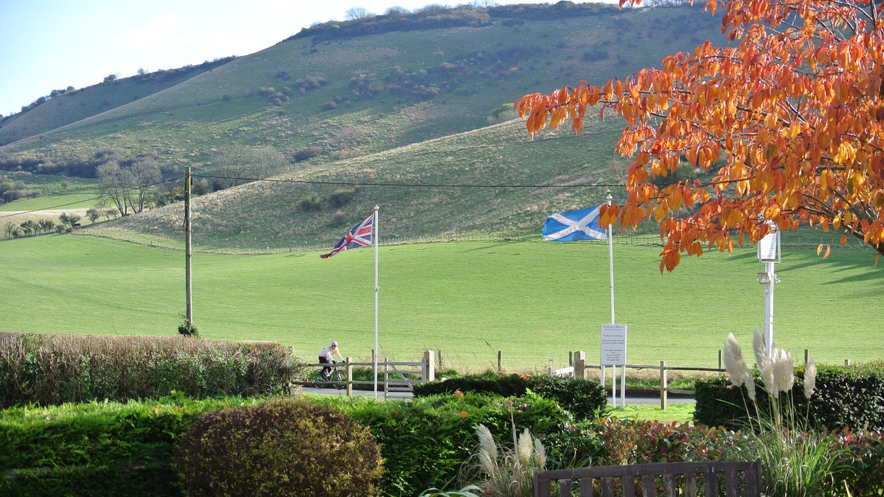 Photo of Others in Henfield