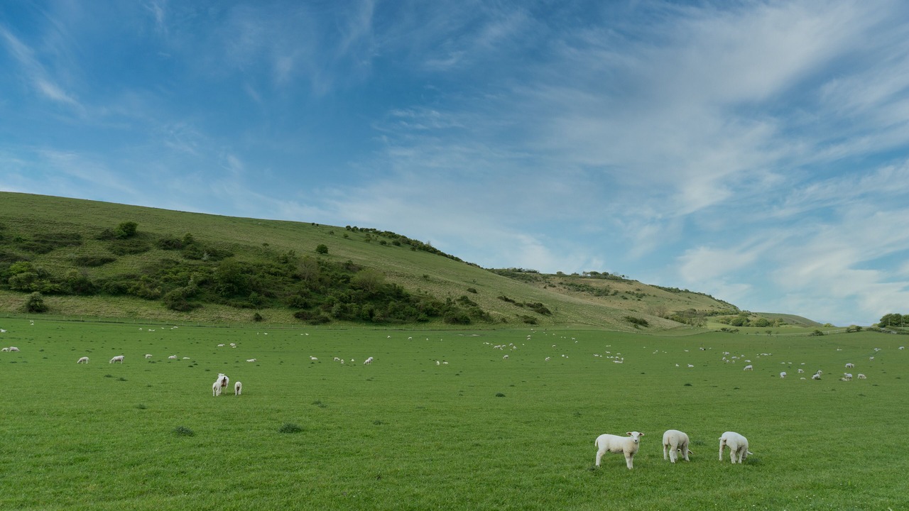 Photo of Outdoor in Henfield