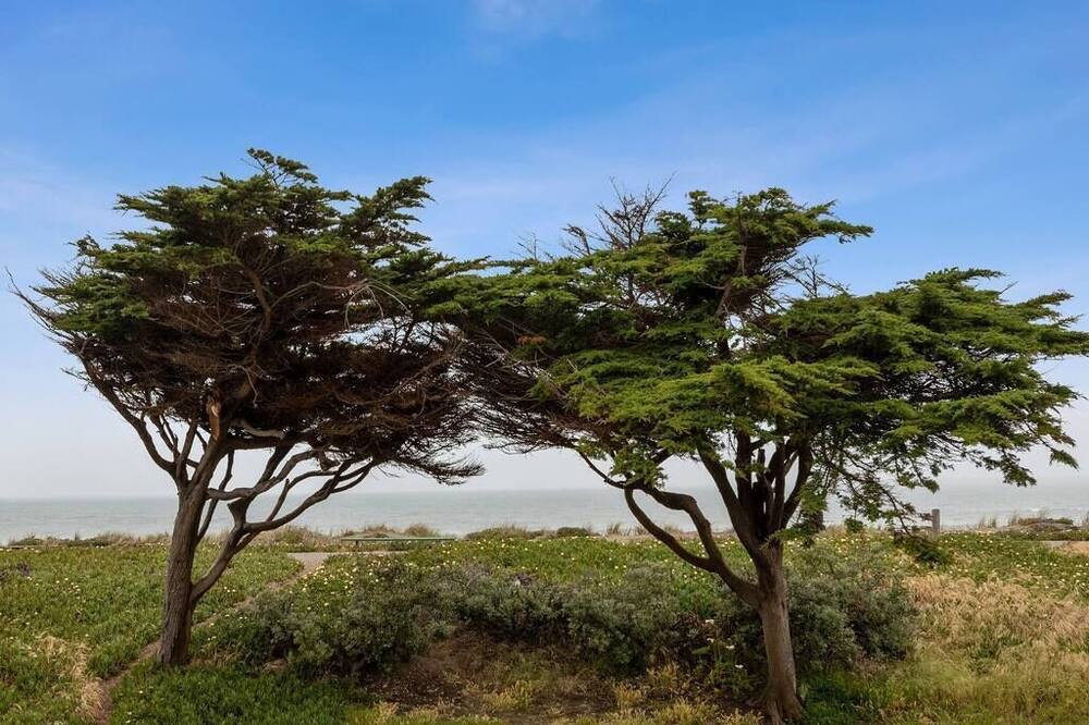 Photo of Others in Outer Sunset