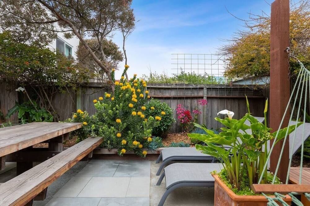 Photo of Others in Outer Sunset