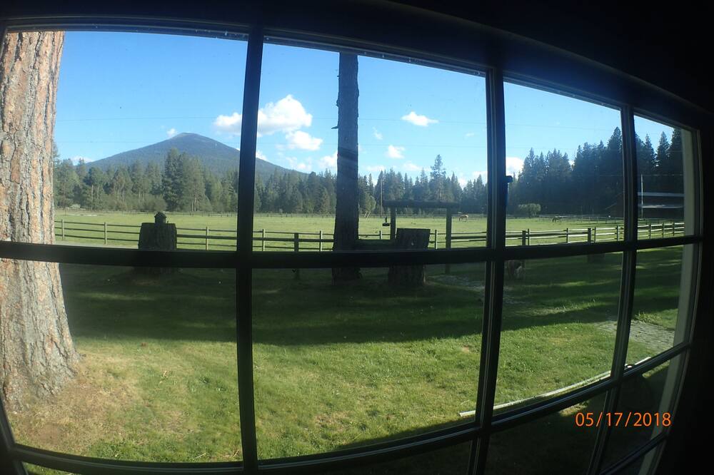 Photo of Others in Camp Sherman