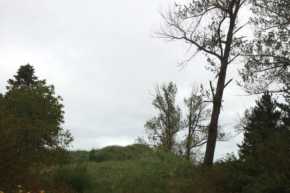 Photo of Others in Park Point