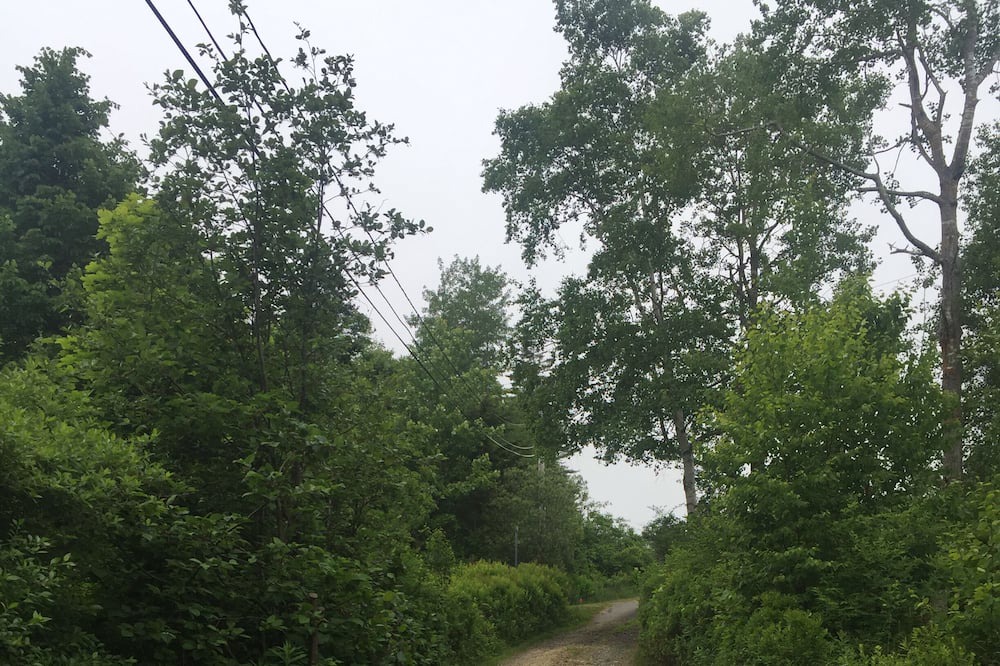 Photo of Others in South Thomaston