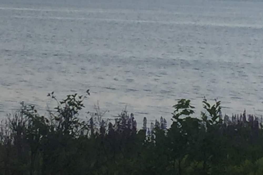 Photo of Others in South Thomaston