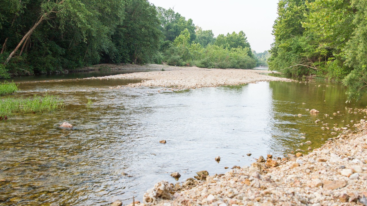 Photo of Others in Black