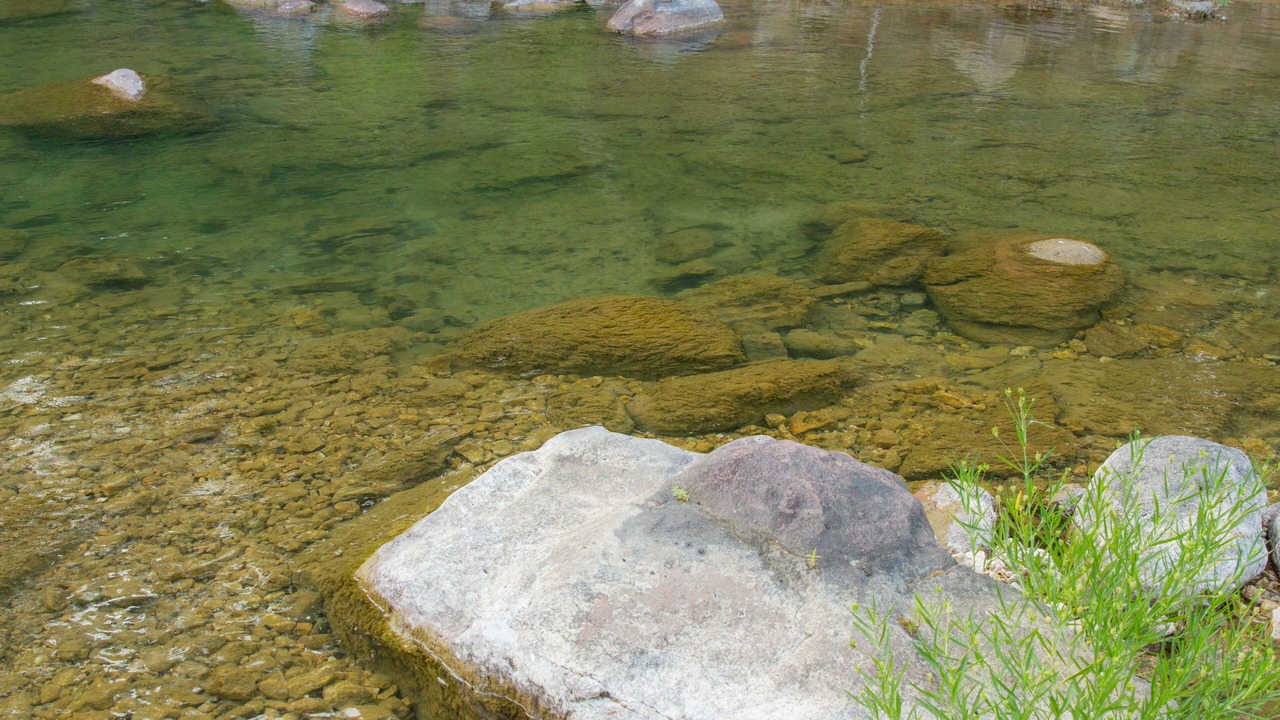Photo of Outdoor in Black