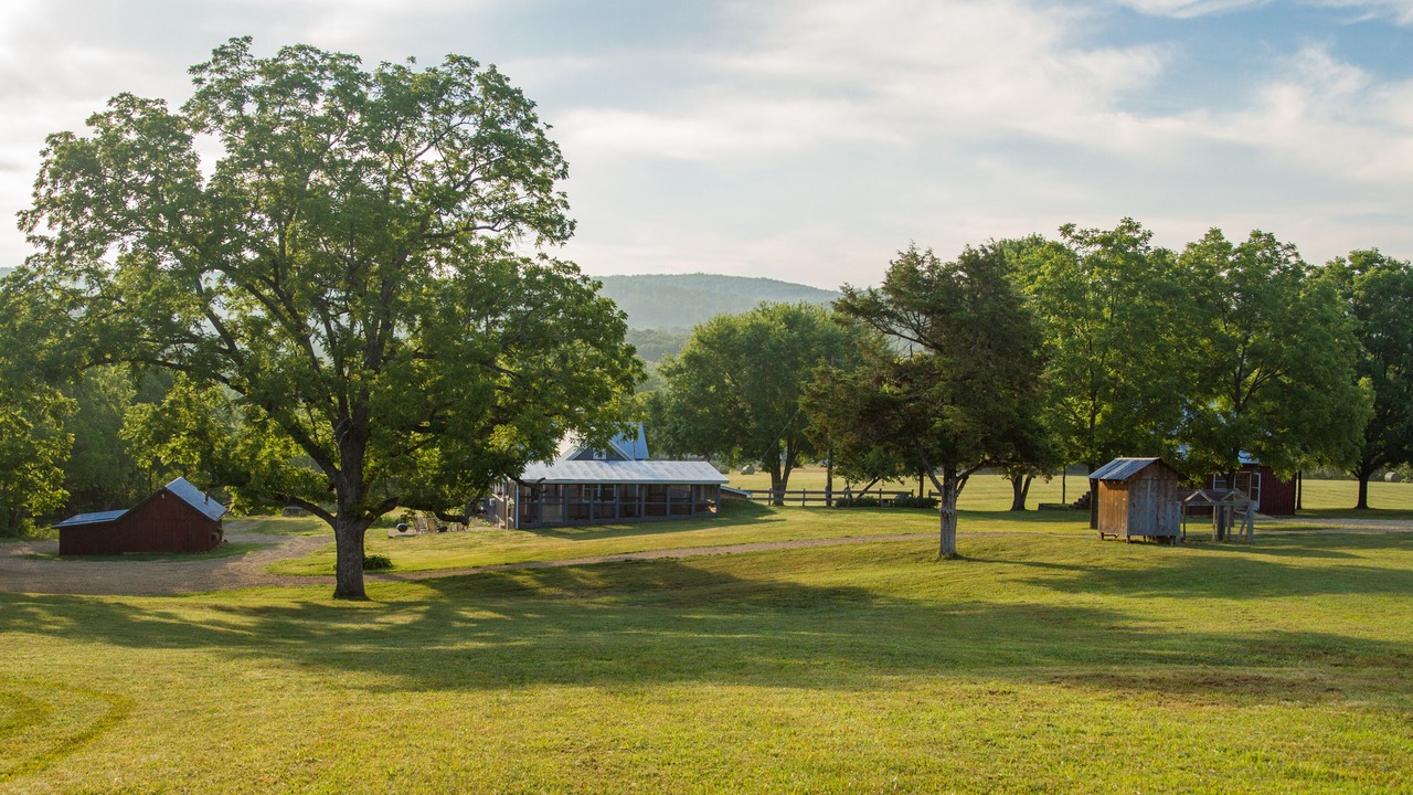 Photo of Others in Black