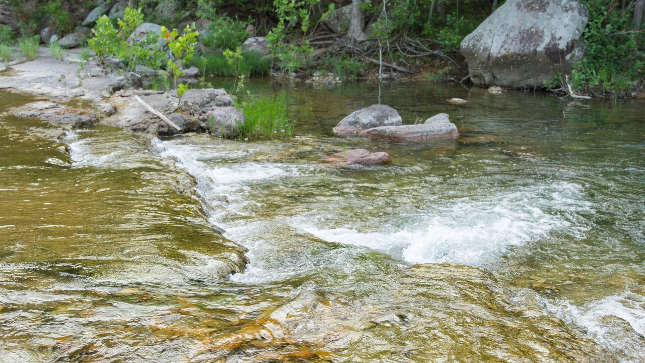 Photo of Others in Black