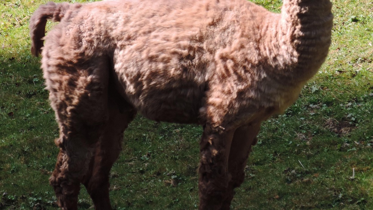 Photo of Outdoor in Goldbach-Altenbach