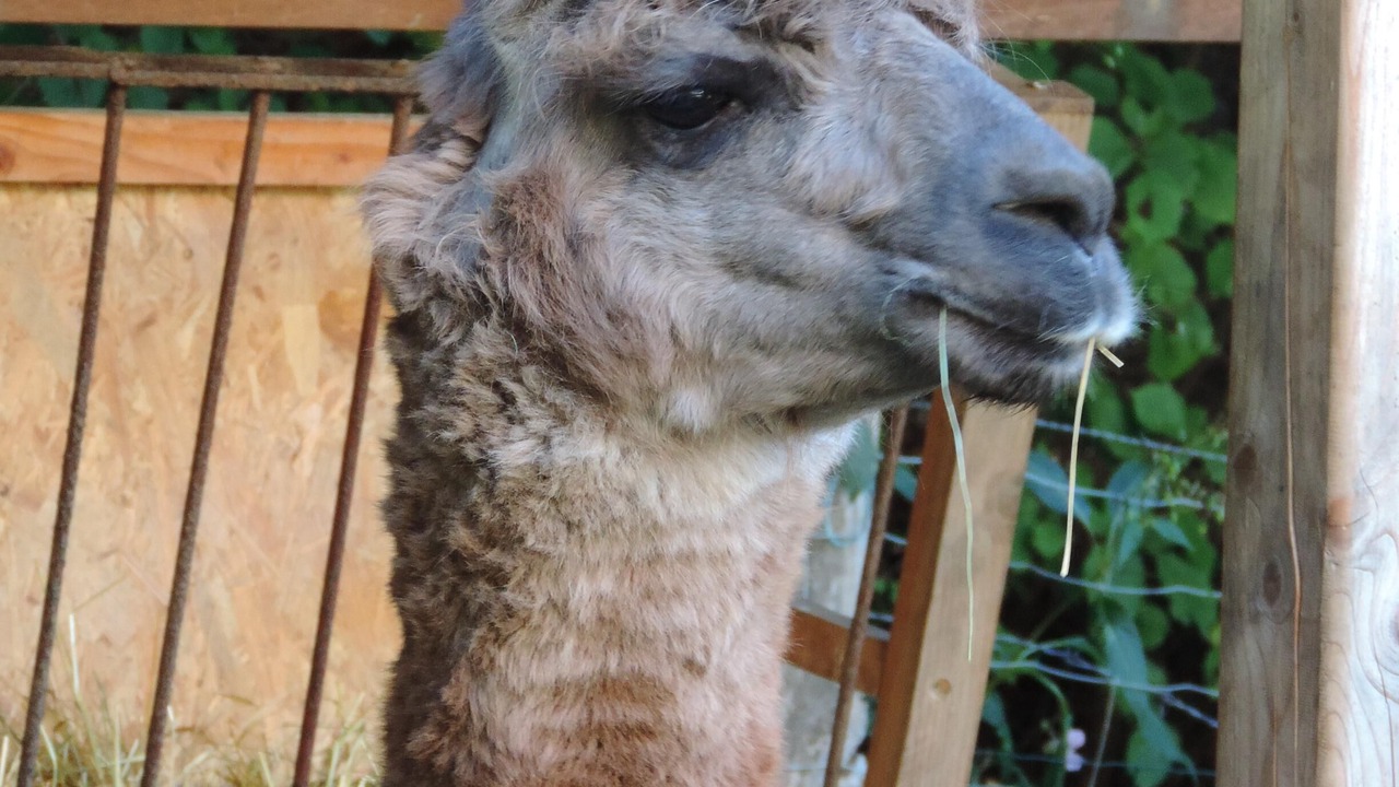 Photo of Outdoor in Goldbach-Altenbach