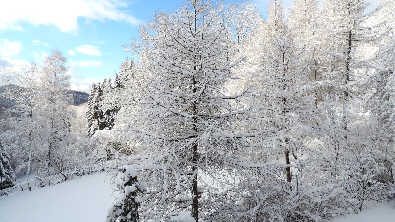 Photo of Outdoor in Goldbach-Altenbach