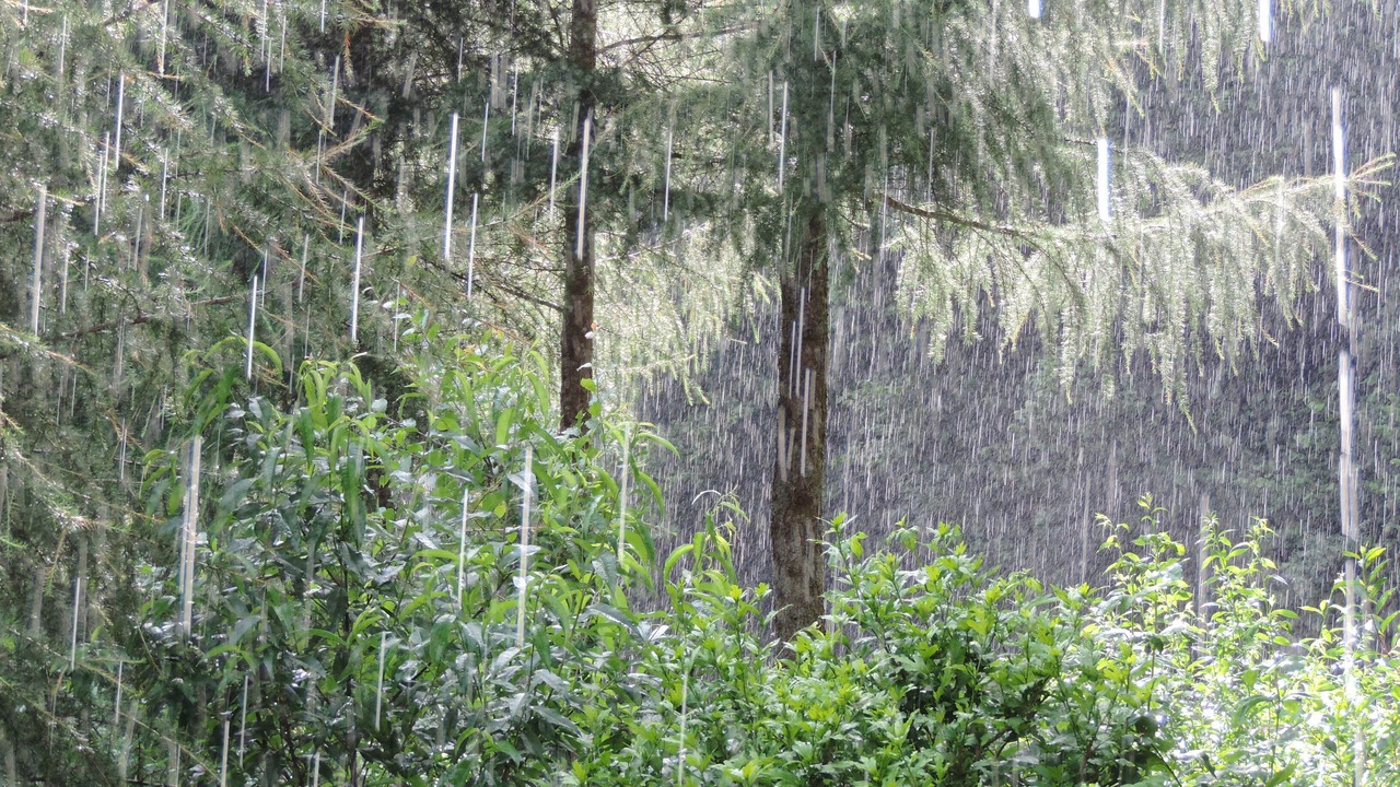 Photo of Outdoor in Goldbach-Altenbach