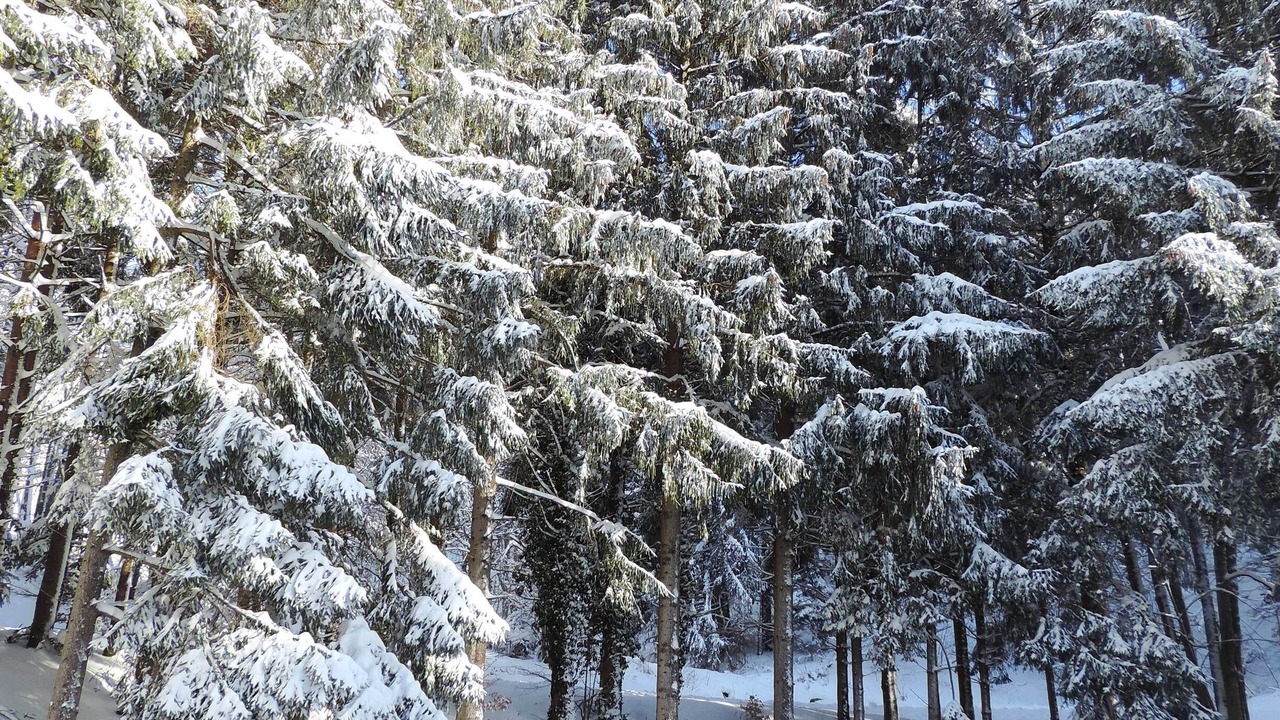Photo of Outdoor in Goldbach-Altenbach
