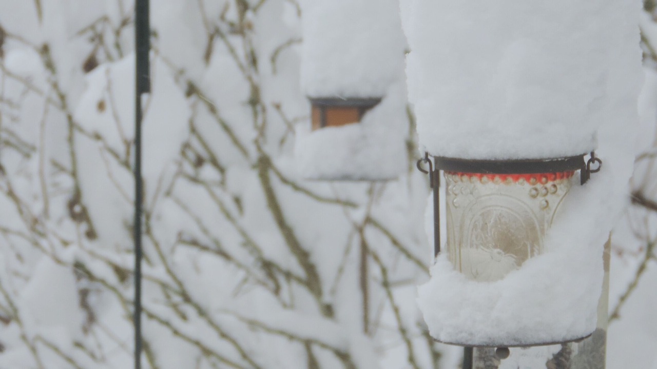 Photo of Others in Goldbach-Altenbach