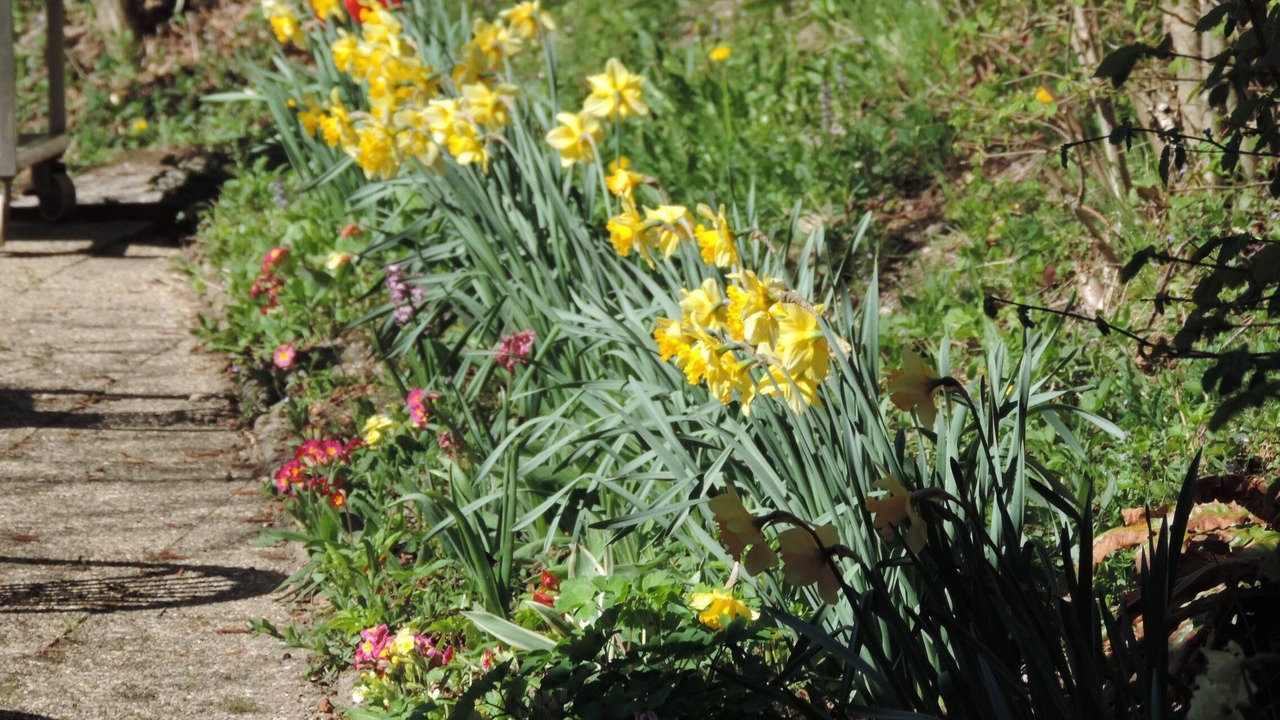 Photo of Outdoor in Goldbach-Altenbach