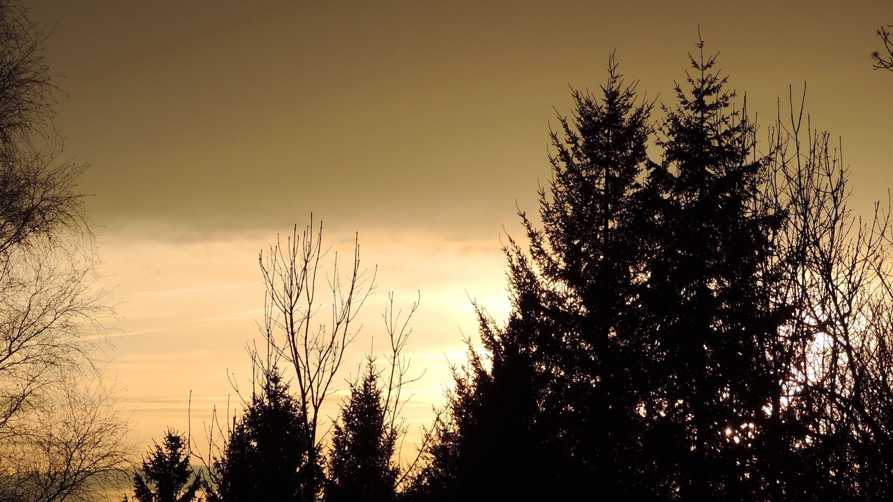 Photo of Outdoor in Goldbach-Altenbach