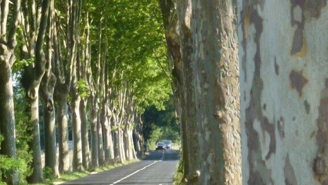 Photo of Others in Fontanes