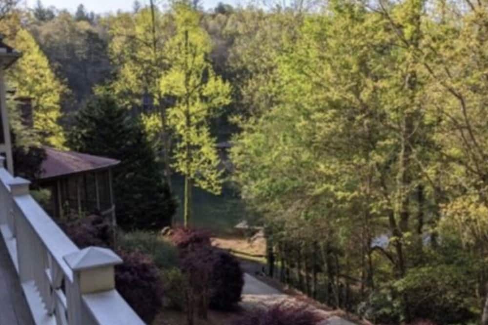 Photo of Outdoor in Tiger