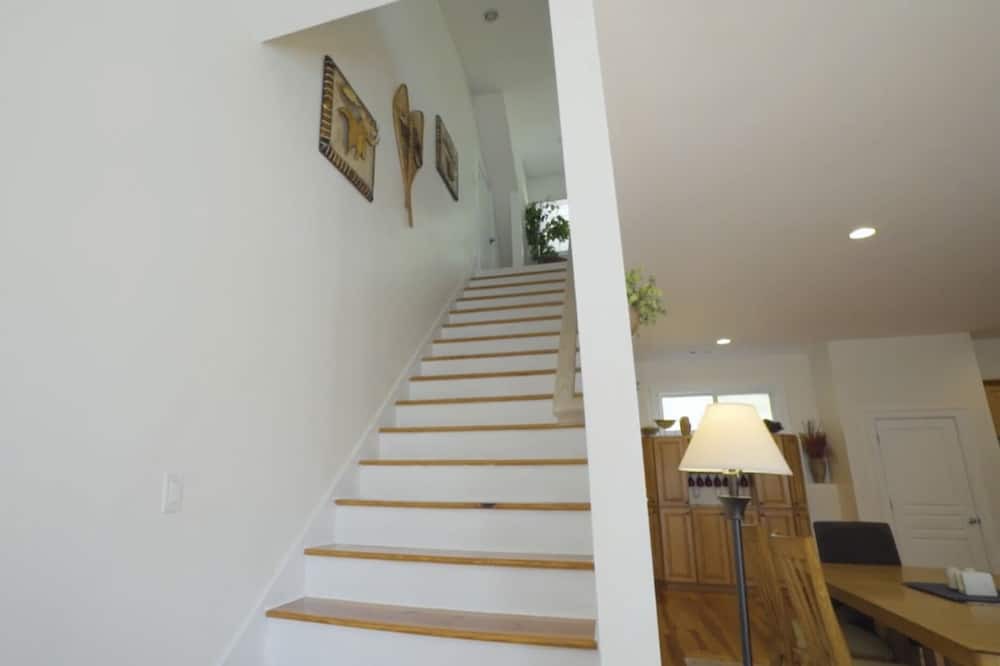 Photo of Others in Tiger