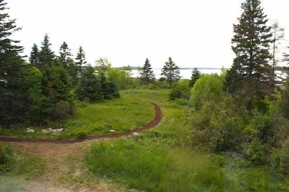 Photo of Others in Bar Harbor