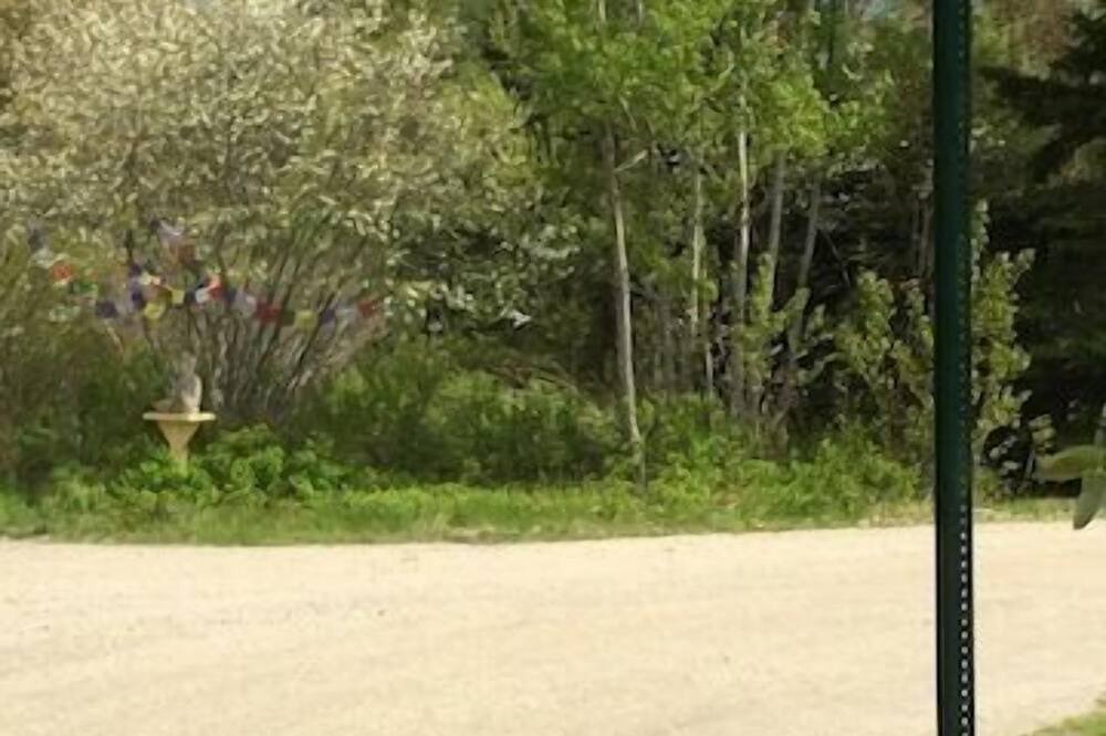 Photo of Others in Bar Harbor