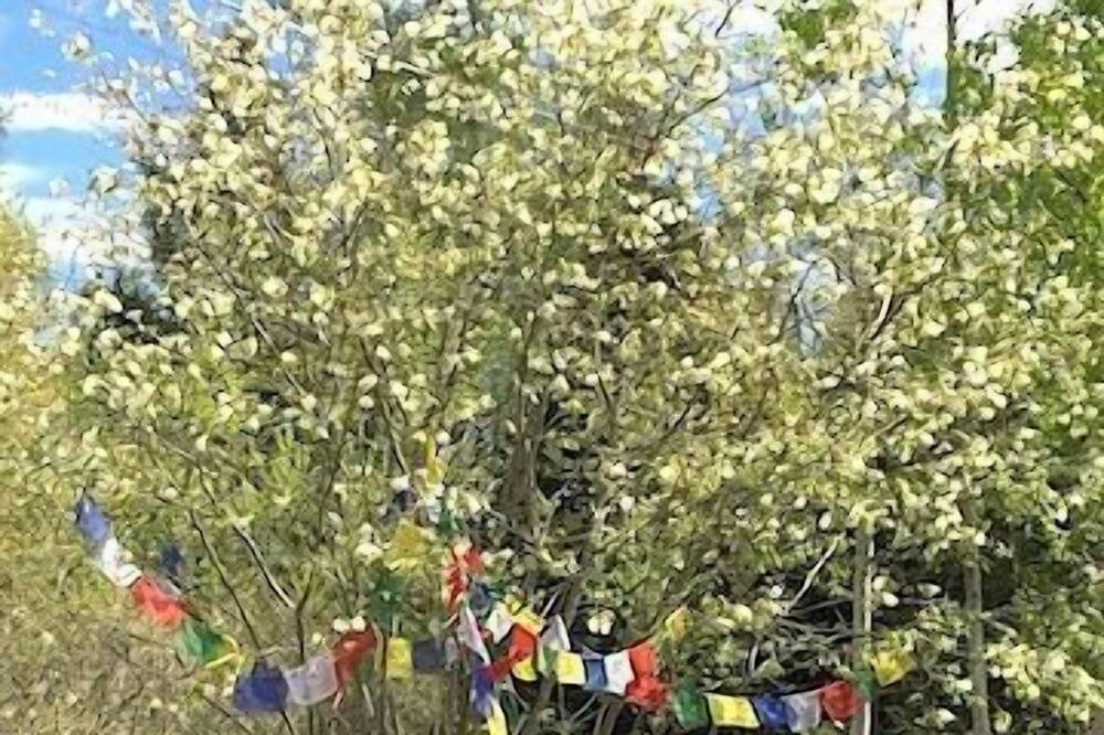 Photo of Others in Bar Harbor