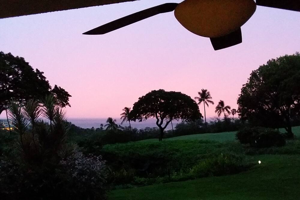 Photo of Outdoor in Keauhou