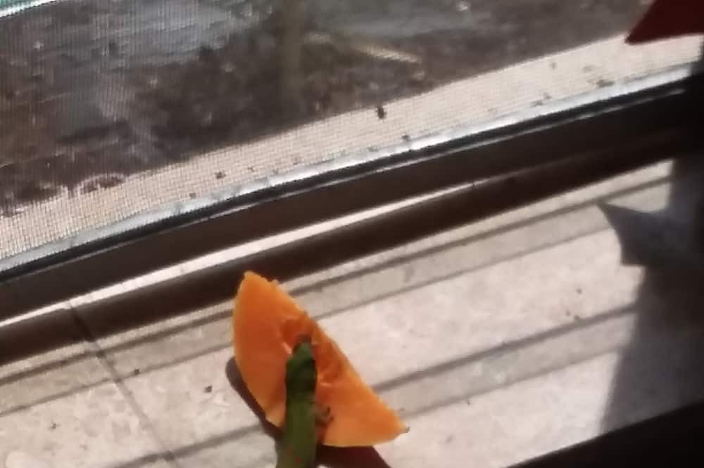 Photo of Others in Keauhou