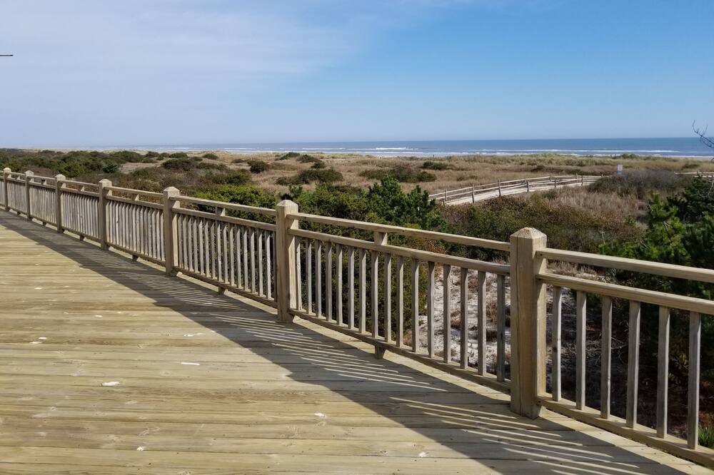 Photo of Others in Avalon