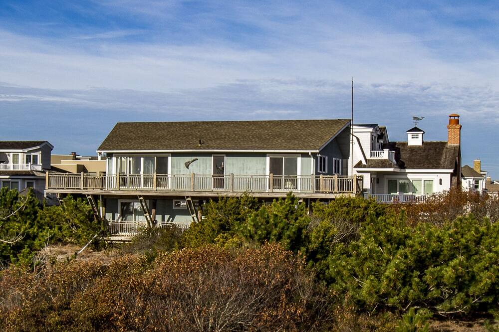 Photo of Others in Avalon