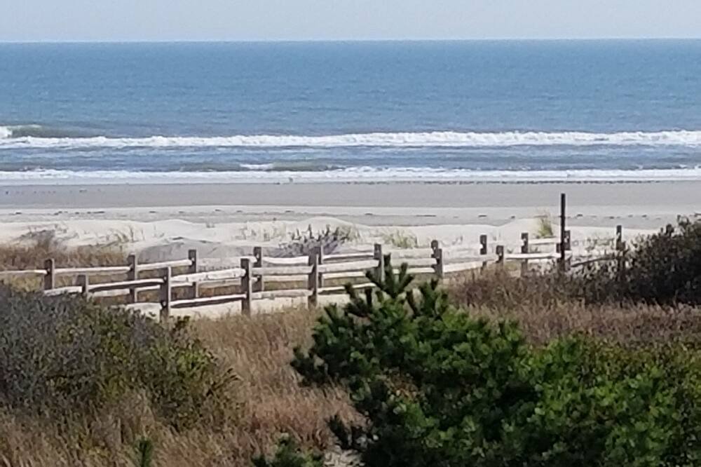 Photo of Others in Avalon