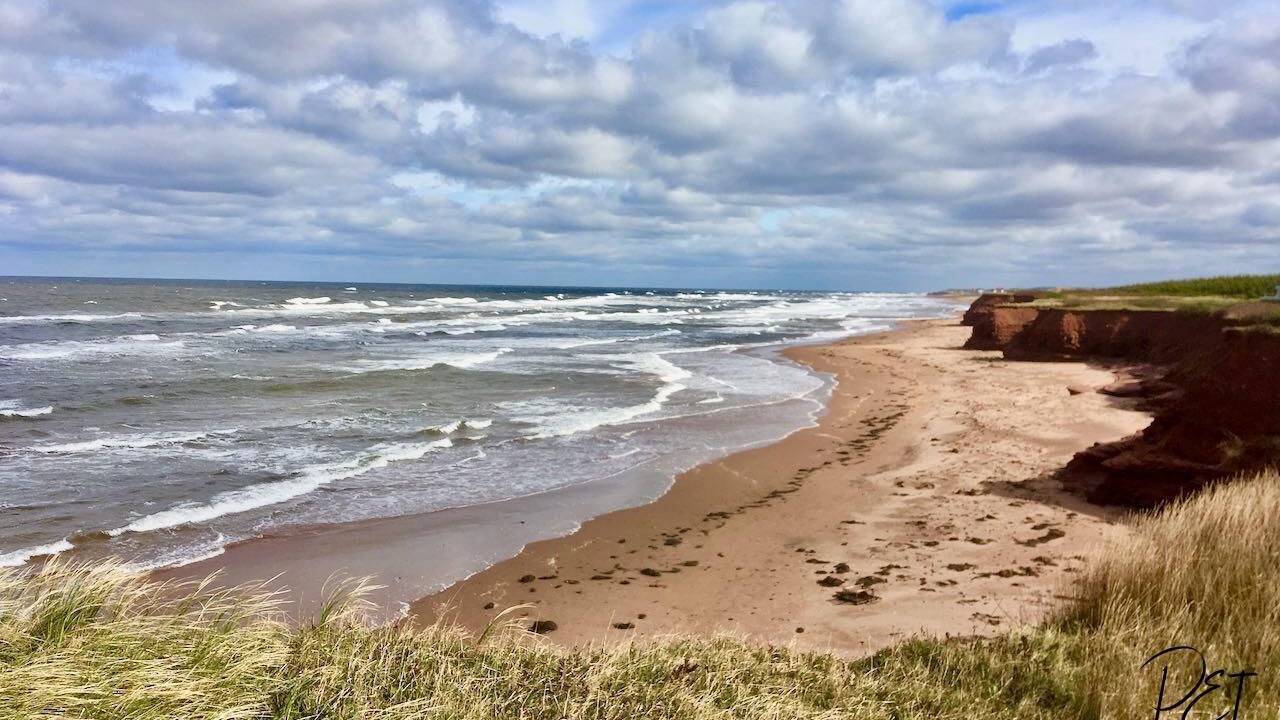 Photo of Others in Darnley