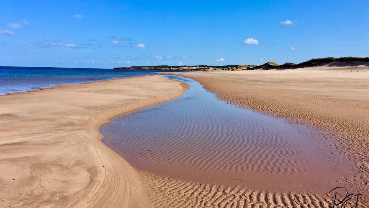 Photo of Others in Darnley