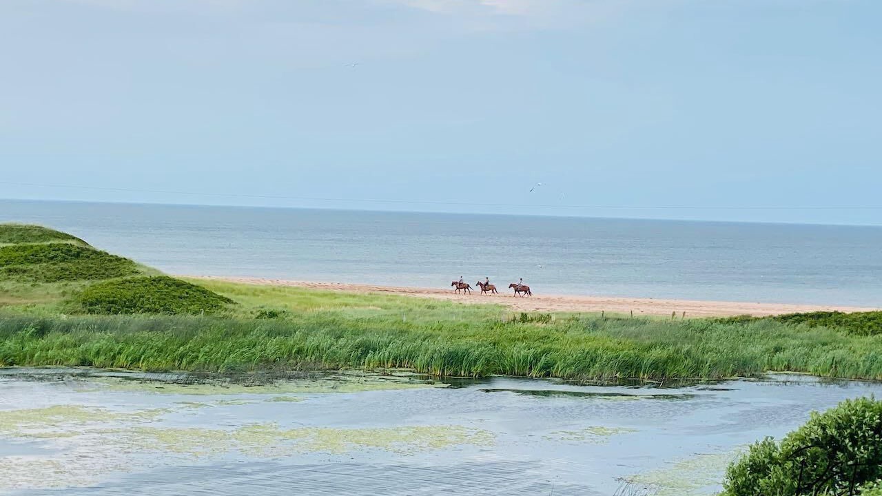 Photo of Others in Darnley