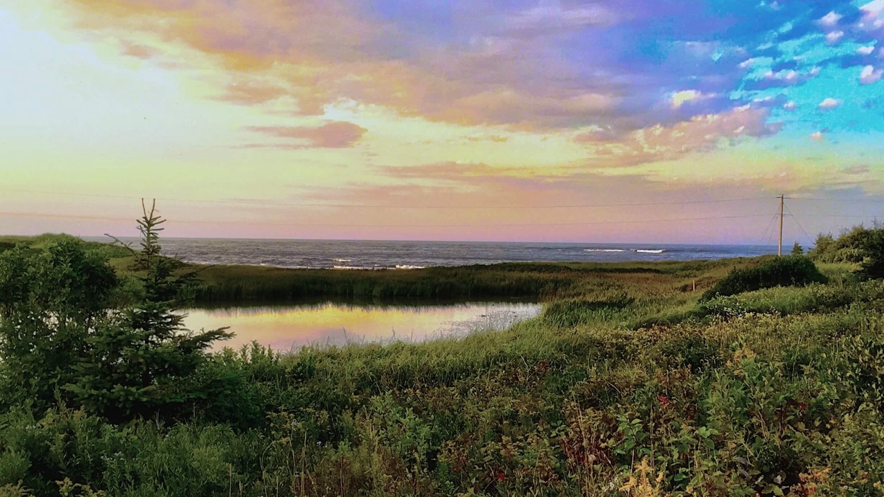 Photo of Others in Darnley