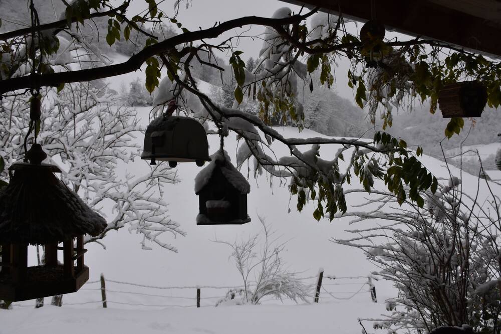 Photo of Outdoor in Campan