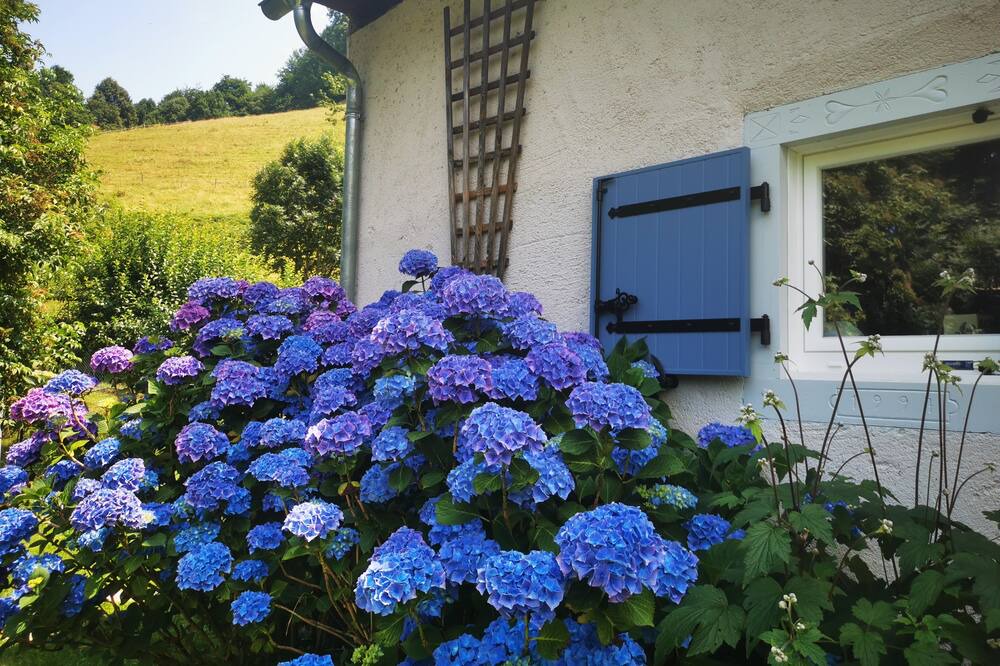 Photo of Outdoor in Campan