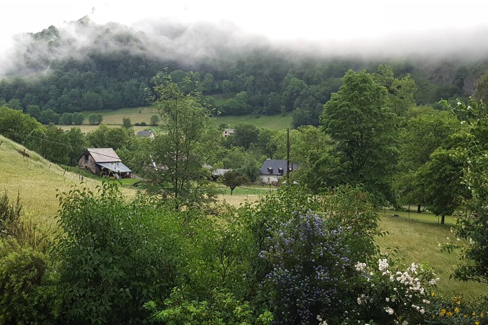 Photo of Outdoor in Campan