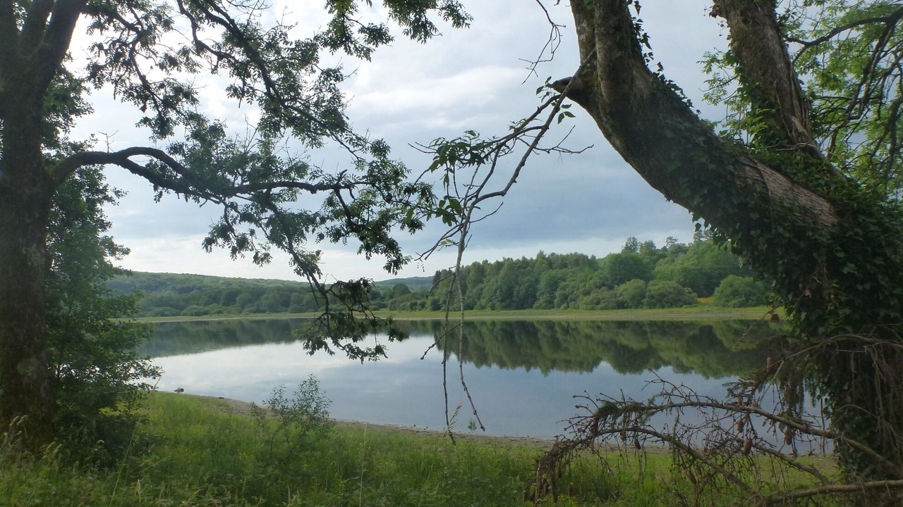 Photo of Outdoor in Saint-Brisson